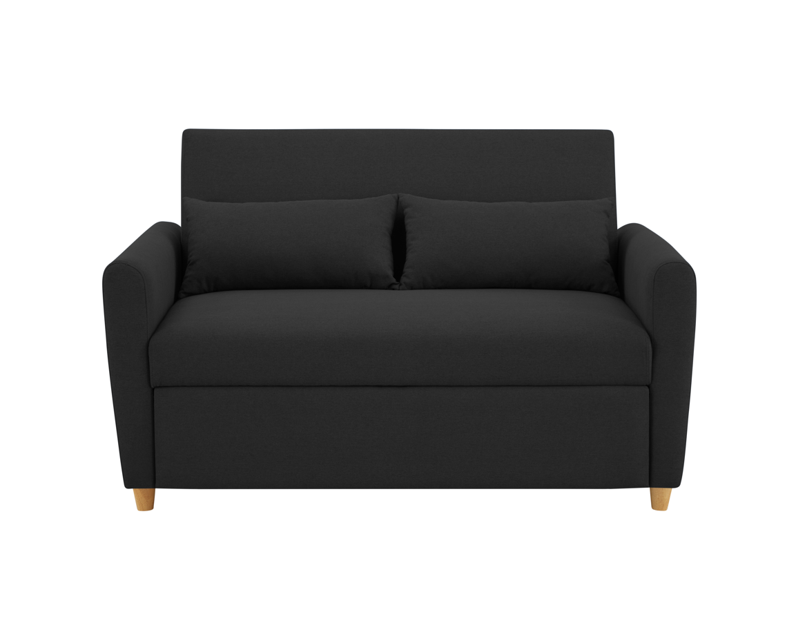 Dahlia Black 2-Seater Pull Out Sofa Bed - Convertible Sleeper Sofa